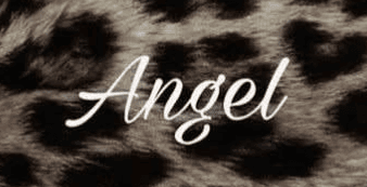 Emily Ellyn banner